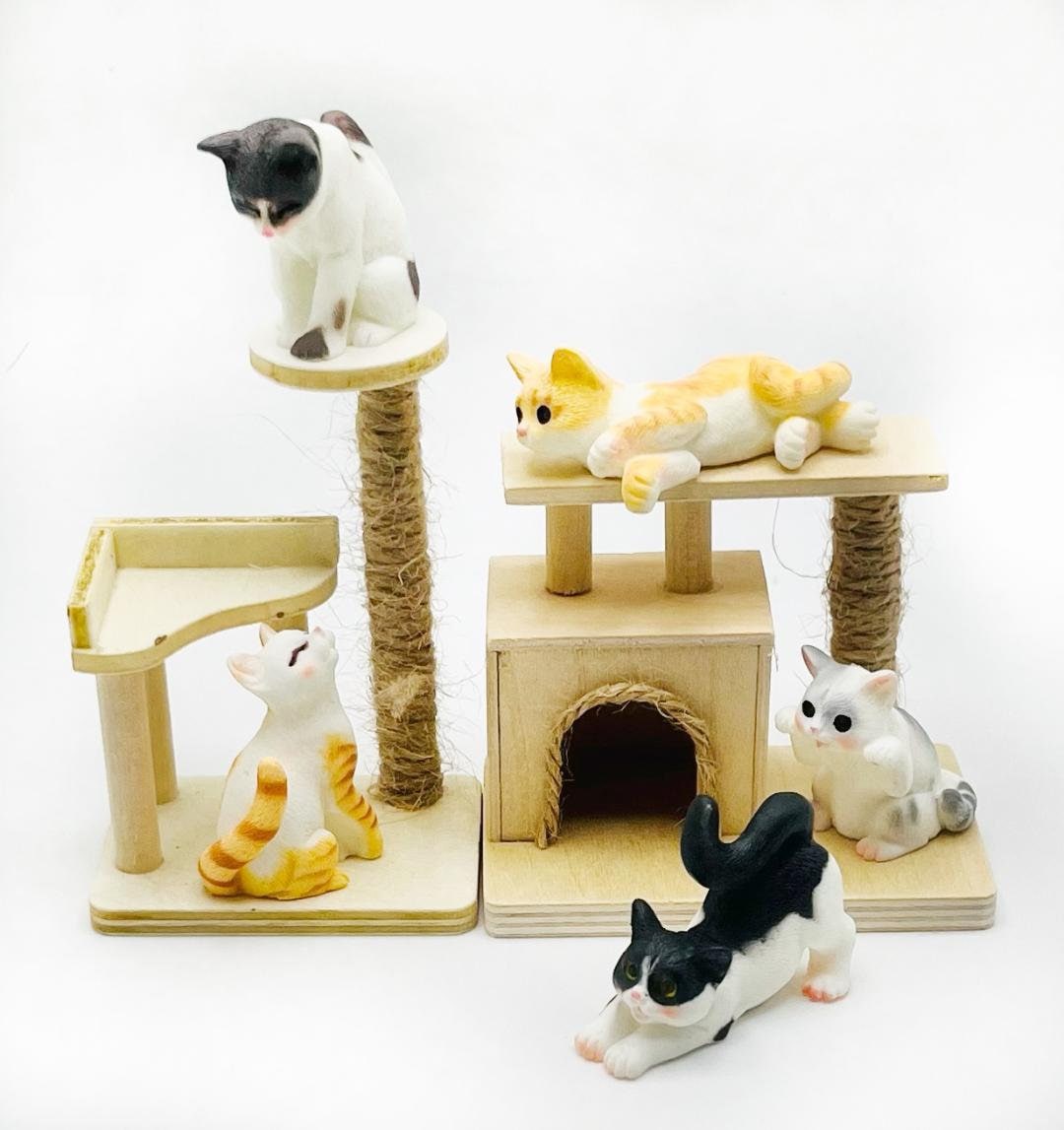 Cat clearance condo lazada