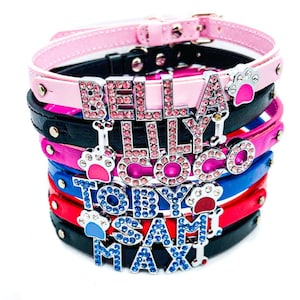 Custom Name Dog Collars! Personalized Pet Collar! Pet Collars! Rhinestone Collars for Pets! Size Small