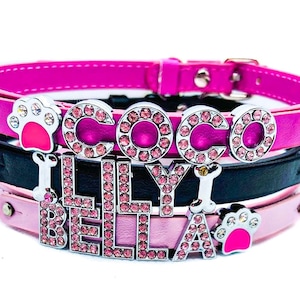 Custom Name Dog Collars! Personalized Pet Collar! Pet Collars! Rhinestone Collars for Pets! Size Small
