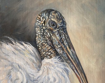 Wood Stork Oil Painting