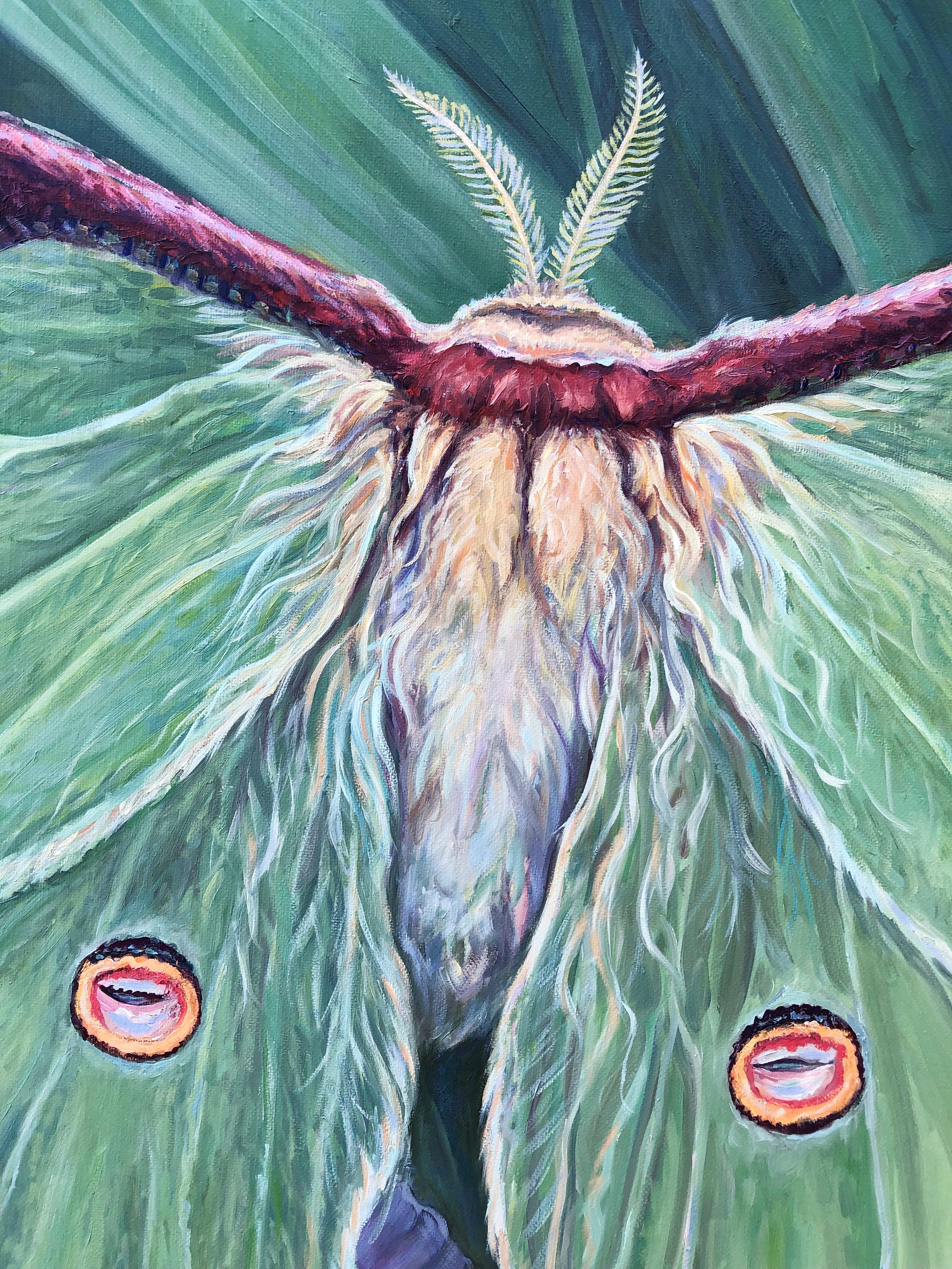 Large Oil Painting ~ Luna Moth - Etsy