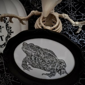 Creepy Toad OOAK Original Drawing in Vintage Black Frame, Gothic Spooky Halloween Home Decor, Wall Art, Wall Hanging