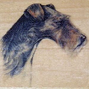 May include: A detailed illustration of a dog's head in profile, showcasing a textured coat with shades of blue, gray, and brown. The dog's ear and muzzle are visible against a light beige background, highlighting the intricate details of the artwork.