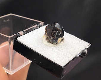 Almandine Garnet Crystal Specimen: Garnet Hill, Nevada