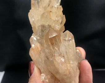 Natural Citrine Kundalini Quartz Phantom Pineapple Unheated Crystal Cluster Rocks and Minerals Lueni Congo DRC