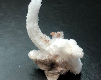 Selenite Ram's Horn Gypsum Small Raw Curved Crystal Cluster Rocks and Minerals Mineral Specimen Buena Tierra Santa Eulalia Mexico