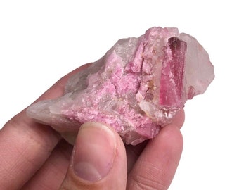 Pink Tourmaline Bicolored Elbaite Pastel Crystals on Quartz Albite Crystal Rocks Minerals Mineral Specimen Ouro Fino Coronel Murta MG Brazil