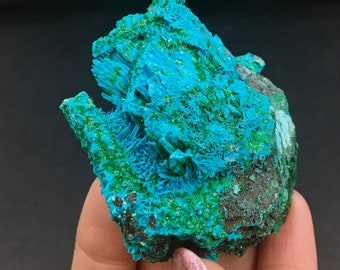 Chrysocolla Pseudomorph aft. Malachite aft. Azurite Rare Delicate Raw Mineral Cluster Rocks and Minerals Mineral Rock Decor Luputu Mine DRC