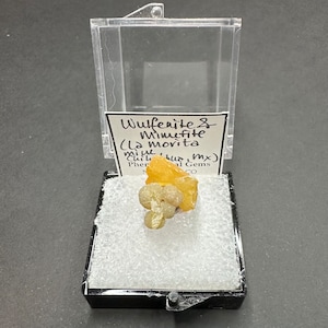 Wulfenite Mimetite Tabular Crystal Cluster Butterscotch Green Mineral Specimen Mounted Rocks and Minerals La Morita Mine Mexico TN23