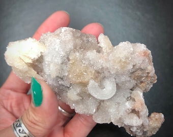 Selenite Ram's Horn Gypsum Medium Raw Curved Crystal Cluster Rocks and Minerals Mineral Specimen Buena Tierra Santa Eulalia Mexico