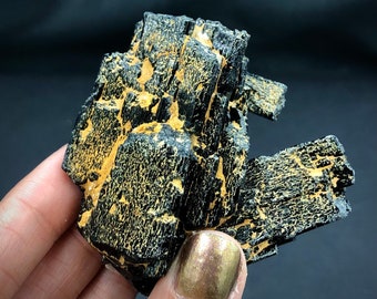 Black Tourmaline Schorl Etched Golden Iron Oxides Cluster Unpolished Rocks and Minerals Mineral Specimen Erongo Namibia