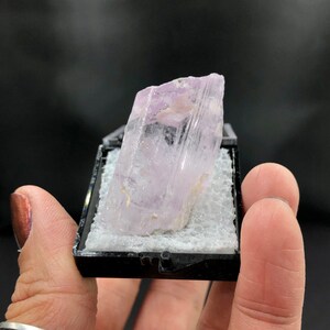 May include: A pale pink and white crystal with striations, displayed in a black velvet box.