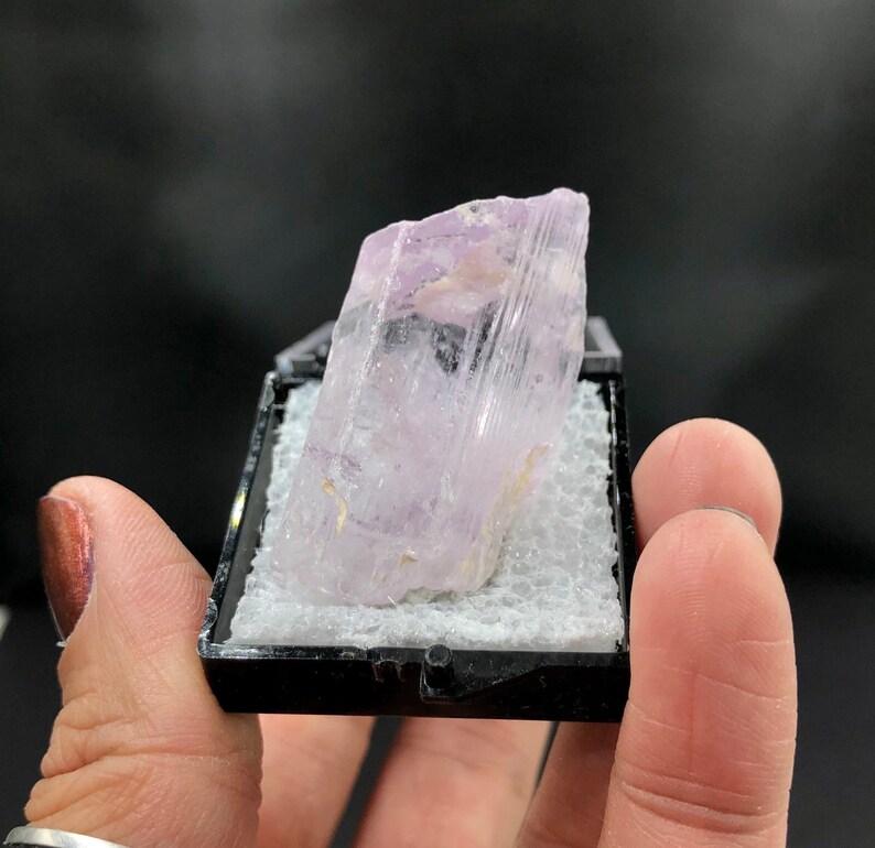 May include: A pale pink and white crystal with striations, displayed in a black velvet box.