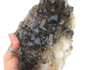 Smoky Quartz Elestial Elestiated XL Cabinet Crystal Cluster Mineral Specimen Rocks and Minerals Minas Gerais Brazil Spooky