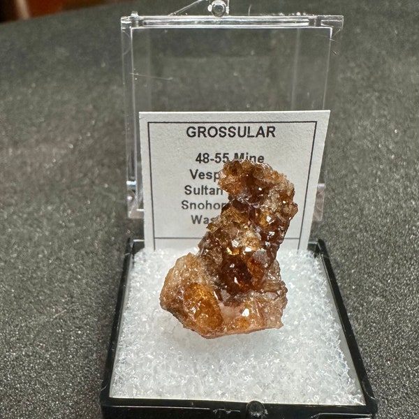 Grossular Garnets 48-55 Mine Vesper Peak Washington USA Mini Crystal Thumbnail Mineral Specimen Rocks and Minerals