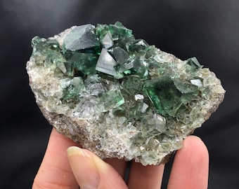 Green Fluorite Lady Annabella Fairy Holes Pocket Daylight Fluorescent Indigo Color Change Crystals Rocks Minerals Specimen England FLUO8
