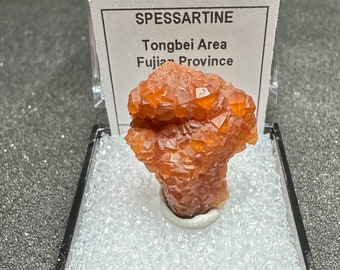 Spessartine Garnets Orange Tongbei Mini Crystals Thumbnail Mineral Specimen Rocks and Minerals Tongbei *Closed* Fujian China