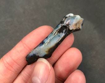 Indonesian Opalized Wood Petrified Blue White Cloud Common Black Raw Natural Mounted Mineral Specimen Wood Opal Rocks and Minerals Indonesia