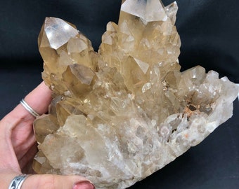 Natural Citrine Kundalini Quartz XL Phantom Pineapple Unheated Crystal Cluster Rocks and Minerals Lueni Congo DRC