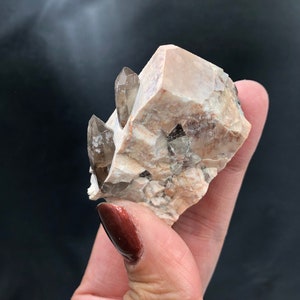 Smoky Quartz Microcline Feldspar Twinning Mini Crystal Cluster Lake George Colorado Rocks and Minerals Mineral Specimen SMALL1