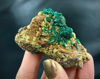 Dioptase Deep Green Mimetite Yellow Crystals Matrix Cluster Rocks and Minerals Mineral Specimen Healing Crystals N’tola Mindouli Congo