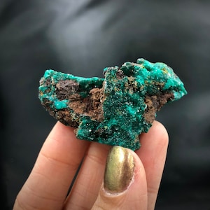 Dioptase Deep Green Mimetite Yellow Crystals Matrix Cluster Rocks and Minerals Mineral Specimen Healing Crystals N’tola Mindouli Congo A-E5