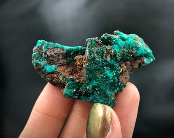 Dioptase Deep Green Mimetite Yellow Crystals Matrix Cluster Rocks and Minerals Mineral Specimen Healing Crystals N’tola Mindouli Congo