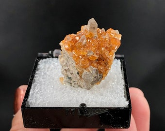 Smoky Quartz Spessartine Garnets Mini Crystal Terminated Thumbnail Mineral Specimen Rocks and Minerals Tongbei *Closed* Fujian China TN15