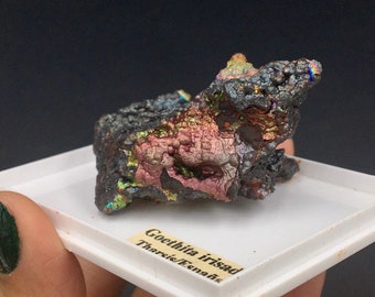 Turgite Rainbow Iridescent Botryoidal Metallic Natural Flower Crystal Cluster Rocks and Minerals Mineral Specimen Tharsis Andalusia Spain