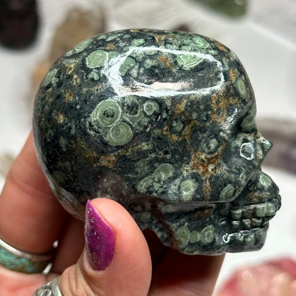 Kambaba Stone Polished Gemstone Skull Small Carving Spooky Altar Supplies Rocks and Minerals Crystals Mineral Specimen