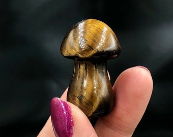 Tiger Eye Mushroom (1) Small Carving Nature Lovers Statue Rocks and Minerals Mineral Specimen Gemstones Crystal Lovers Gifts