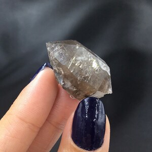 Black Herkimer Diamond Quartz Self-Mined Specimen: Diamond Mtn, NY (SELF12)