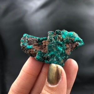 Dioptase Deep Green Mimetite Yellow Crystals Matrix Cluster Rocks and Minerals Mineral Specimen Healing Crystals Ntola Mindouli Congo image 7