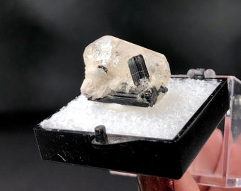 Topaz DT Schorl Tourmaline Cleavelandite Crystal Cluster Mounted Thumbnail Mineral Specimen Rocks and Minerals Pakistan