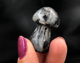 Larvikite Mushroom (1) Small Carving Nature Lovers Statue Rocks and Minerals Mineral Specimen Mineral Gemstones Crystal Lovers Gifts