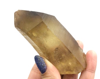 Natural Citrine Quartz Unheated Large Crystal Phantom Raw Healing Crystals Geology Gifts Rocks and Minerals Mineral Specimen Congo DRC
