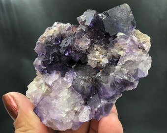 Purple Fluorite Raw Unpolished Cubic Cluster Rocks and Minerals Deep Purple Grape Melchor Múzquiz Coahuila Mexico