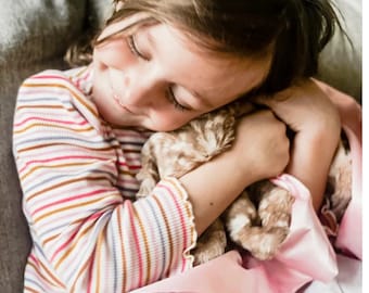 Fawn Deer Minky Lovie Blanket: Baby Pink Lattice, Satin Trim