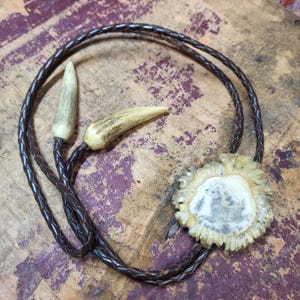 May include: A bolo tie featuring a braided brown leather cord and antler tips. The focal point is a carved antler pendant with a detailed image of a deer. The overall design is rustic and handcrafted.