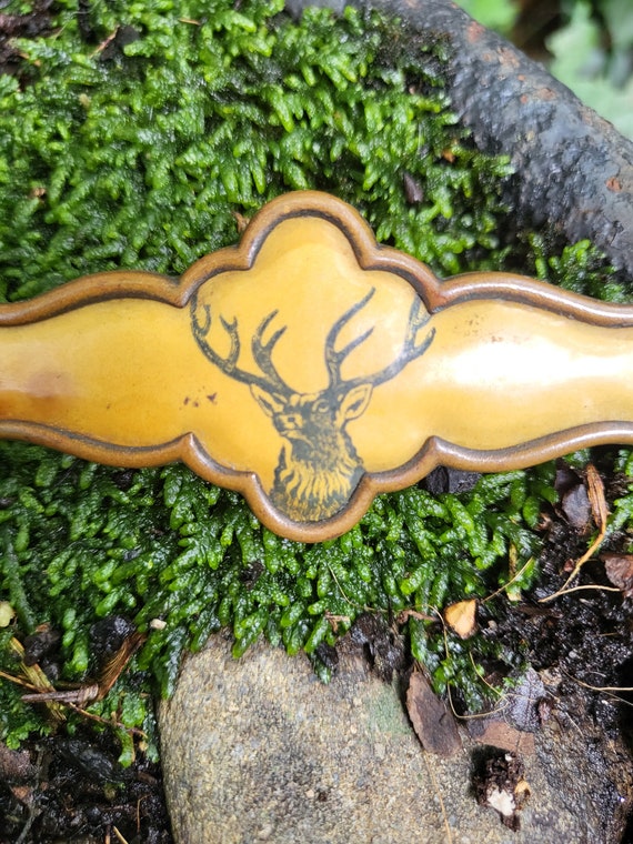 Vintage Celluloid Elk Pin Brooch Late 1800s Whiteh