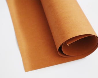 Painel de couro colado autoadesivo: reforço de reforço (50 cm x 150 cm)