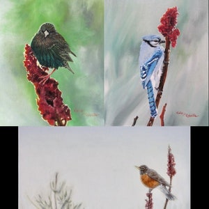 Zestaw 6 kart i kopert ~ Vermont Songbirds