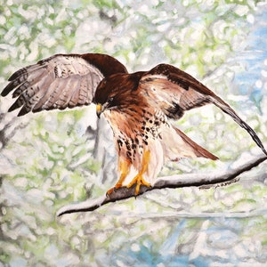 Oil Painting, Prints & Cards ~ Guiding Spirit
