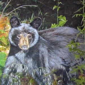 Prints & Cards  ~ Forest Dweller