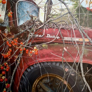 Prints & Cards - Nature’s Reclamation