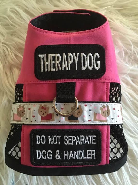 yorkie service dog vest