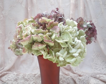 A dozen red and green dried hydrangea flowers with stems-  Christmas flowers-  Cottage Chic florals