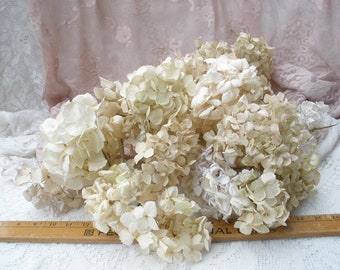 20 white/ivory dried hydrangea flowers with short stems,  Wreath hydrangea,  DIY floral craft