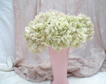 8 large light green with pink dried hydrangea flowers-  Cottage Chic wedding florals-  DIY wedding flowers