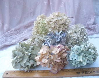 Mystery/Sample box of dried hydrangea flowers for containers and crafts